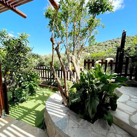 Platipodi Stone House Villa Nikithianósz Kültér fotó